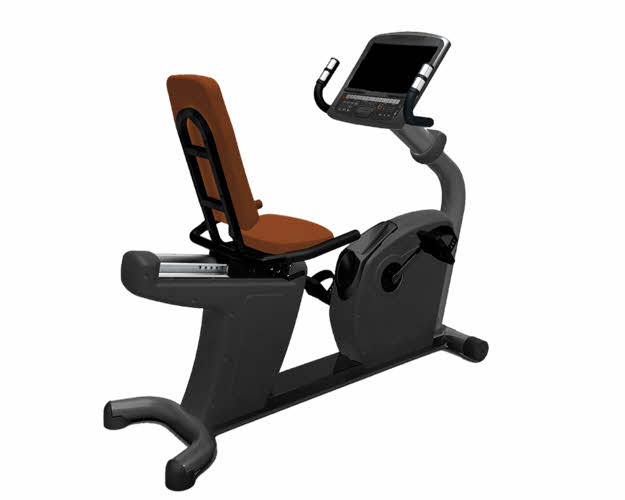 PC005 - LED Console Recumbent Bike