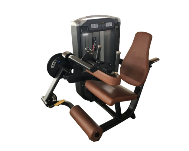 AGD002 - Seated Leg Curl & Leg Extension / Beinbeuger & -strecker Dual Line 