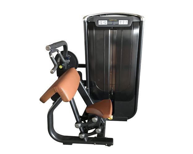 AGD006 - Biceps Curl & Triceps Extension Dual Line