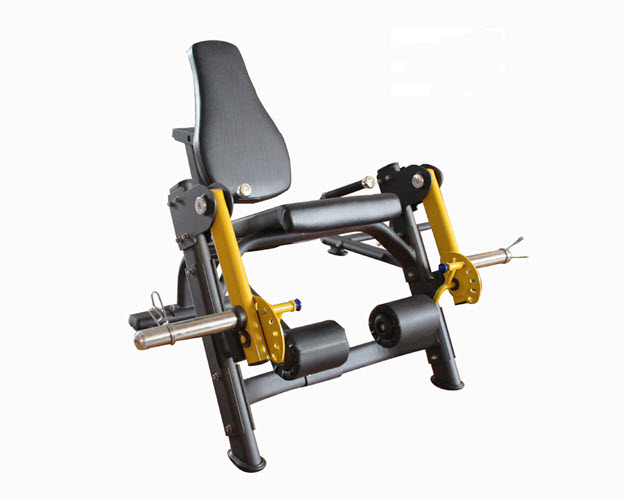 AGG009 - Leg Extension / Beinstrecker Plate Loaded Gamma Line 