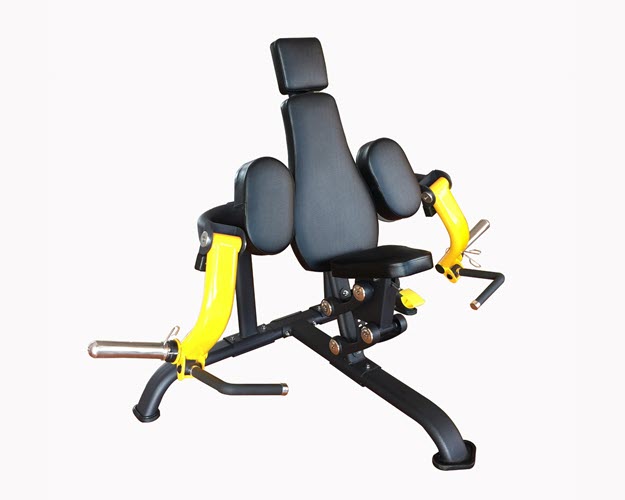 AGG011 - Biceps Curl Plate Loaded Gamma Line 