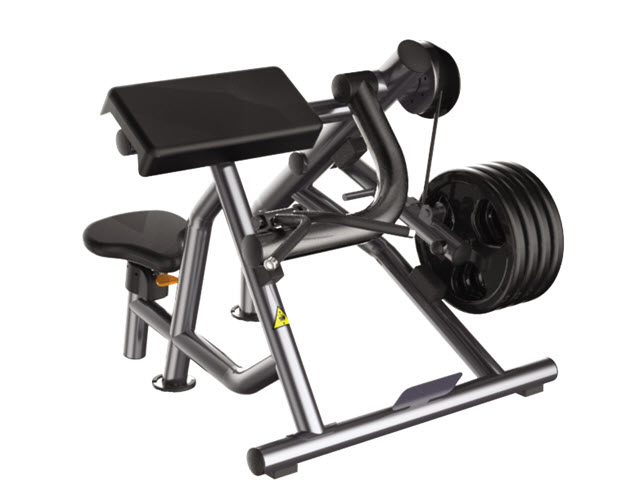 RR007 - Biceps Scott Curl/Bizepsmaschine Round Line 