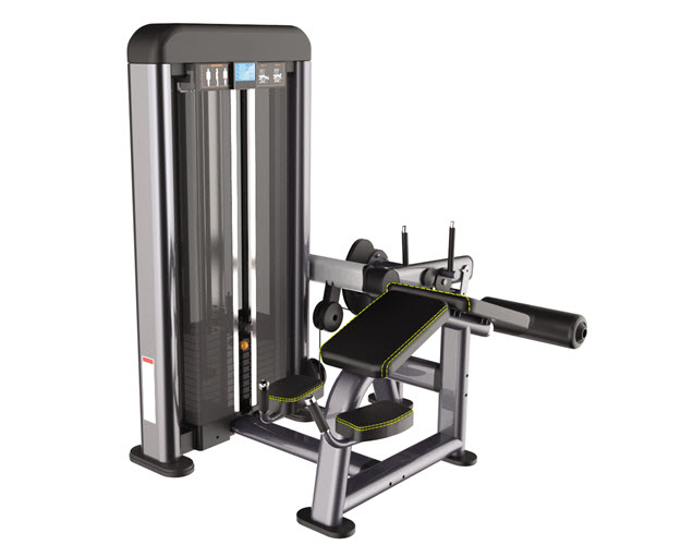 PR002 - Lying Leg Curl/Beinbeuger Premium
