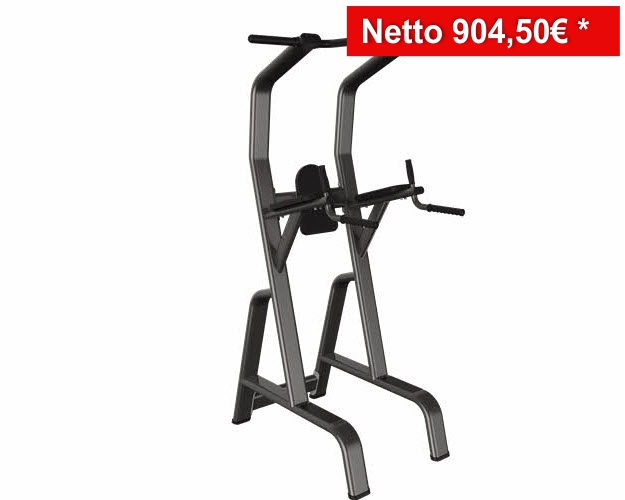 PR0029 - Chin-Dip-Leg Raise Premium Line