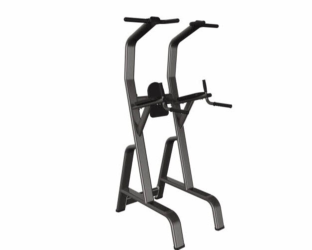 PR0029 - Chin-Dip-Leg Raise Premium Line