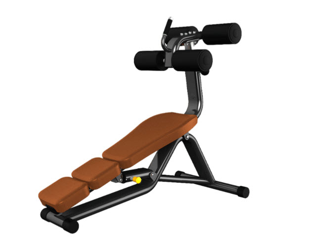 PR0031 - Crunch Bench/Verstellbare Sit Up Bank Premium Line 