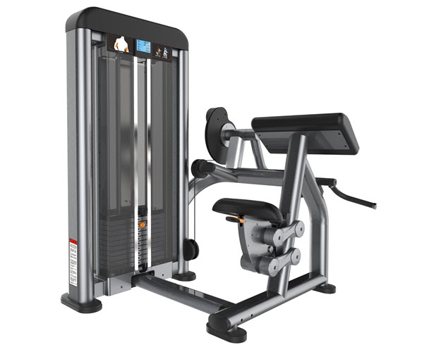 PR006 - Biceps Scott Curl/Bizepsmaschine Premium Line