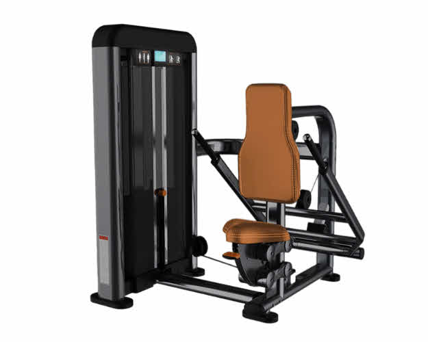 PR007 - Dips Press/Trizeps Press Premium Line